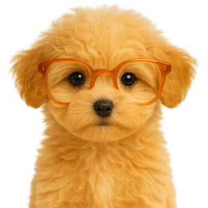 Maltipoo