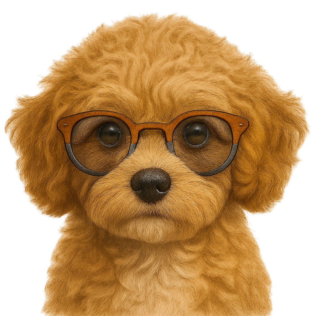 Cavapoo