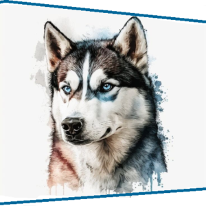 Husky
